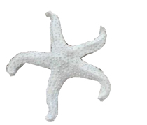 水泥構(gòu)件 水泥構(gòu)件