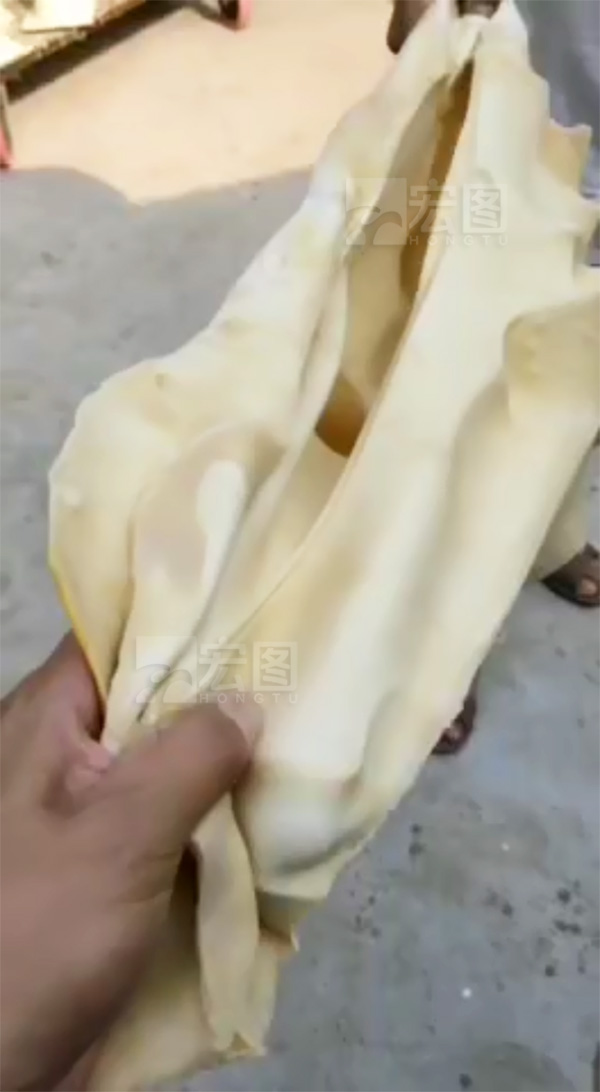 石膏模具硅膠抗撕拉測(cè)試